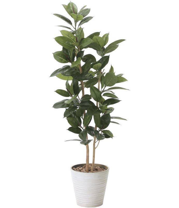 光の楽園 ゴムの木1.6 品番：824A320 高さ：160cm アートグリーン 人工観葉植物 母の日