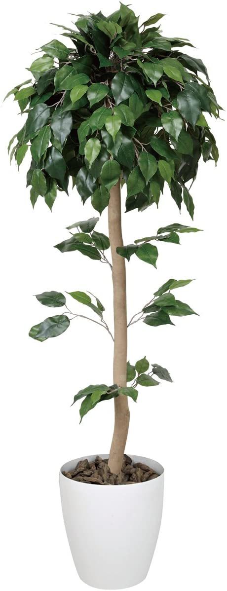 樂天商城 - 光触媒 人工観葉植物 光の楽園 ベンジャミントピアリー 1.2m 372B180 サイズ:幅50×奥行50×高さ120cm 372B180 母の日