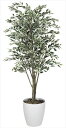 光触媒 人工観葉植物 光の楽園 ベンジャミンツリー斑入り 1.8m 154C480 サイズ:幅70×奥行70×高さ180cm 母の日