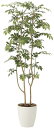 光の楽園 人工観葉植物 光の楽園 マウンテンアッシュ 2021A300 高さ:160cm 外寸法 幅600mm × 奥行600mm × 高さ1600mm 母の日