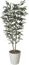 光触媒 人工観葉植物 光の楽園 トネリコ 1.8m 146C450 サイズ:W65cm×H180cm×D60cm 母の日