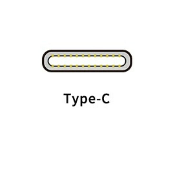Lightning TypeC変換 (5GO ...の紹介画像2