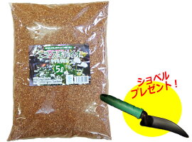 テーブルプランツ