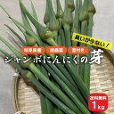 【5月中旬から下旬頃発送予定 予約受付】しばの農園 岐阜県郡上産 ジャンボにんにくの芽 1Kg(国産 にんにく 芽 にんにくの芽 生 ニンニク 無農薬 産地直送...