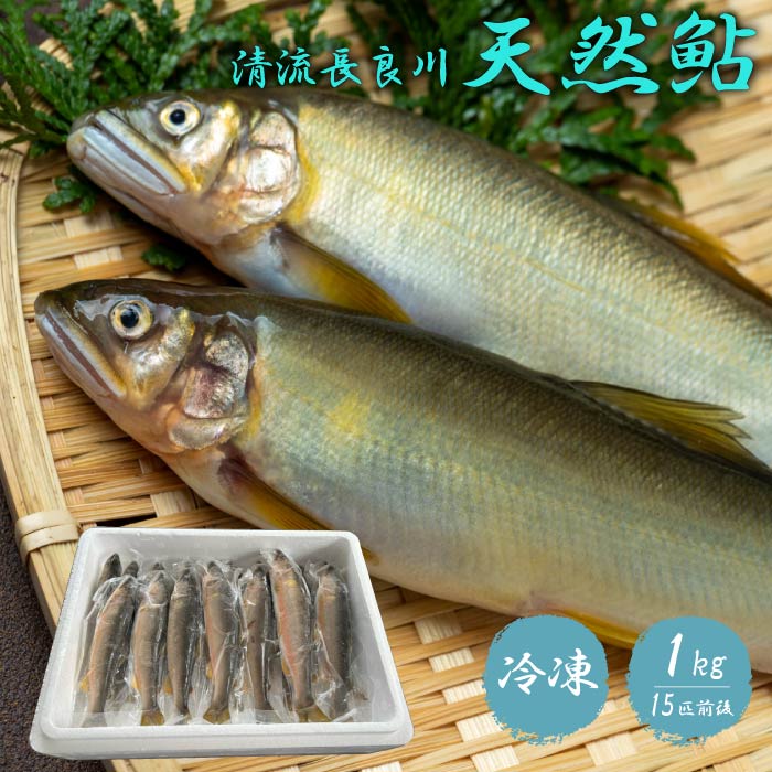 岐阜県産 天然 鮎 アユ 1kg 長良川 冷凍 天然鮎 あゆ お中元 御中元 プレゼント ギフト 贈答 産地直送 送料無料 しばの農園 地域産品