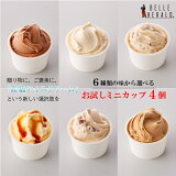 InstagramǤ繥ɾ!! Х˥  ե ꡼  ץ쥼 ե ǥ    ͤ碌 BELLE HERALD ٥إ 륢꡼ ߥ˥å 4̵   £ʪ  ۻ βۻ ϰ軺