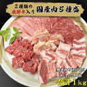 肉・セット 焼き肉やBBQに！飛騨牛入り国産肉5種 1kg 送料無料 4～5人前 さくらポーク サイコロステーキ 焼肉 セット 国産 ブランド肉 牛肉 豚肉 鶏肉 お肉 バーベキュー ギフト 冷凍 プレゼント 贈答 産地直送 まると 地域産品 お買い物マラソン