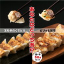 ＼ 餃子 御歳暮 ギフト ビールに合う餃子!!／ 餃子 冷凍 ぎょうざ お歳暮 プレゼント 御歳暮 ギョウザ ギョーザ ひとくち餃子(1個12g)/島唐辛子餃子(1個12g) 50個 モチモチ 点心 中華 簡単調理 冷凍食品 おかず 中華惣菜 まとめ買い 餃子工房いろどり 地域産品