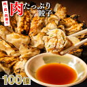 【100万個販売!】下町の空 肉汁 たっぷり 餃子 100個 送料無料 (激安 餃子 もちもち 餃子 プレゼント 冷凍 生餃子 ぎょうざ ギョウザ ギョーザ 焼...