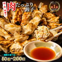 【楽天ランキング1位獲得!】下町の空 特製 肉 たっぷり 餃子 50〜200個 送料無料 (冷凍餃子 ひとくち 餃子 冷凍 お取り寄せ ぎょうざ ギョウザ 食べ...