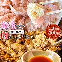 海老餃子 肉たっぷり餃子 セット 合計40個・100個 下町の空 送料無料 (激安 餃子 もちもち 餃子 プレゼント 冷凍 生餃子 ぎょうざ ギョウザ ギョーザ...