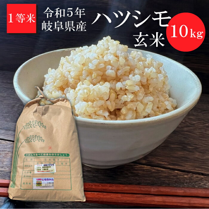 ＼岐阜県を代表する大粒米／ 令和5年産 岐阜県産 玄米 ハツシモ 10kg お米 大粒 お米 10kg 送料無料 農家直送 美味しい お米 玄米 10kg 送料無料 一等米 はつしも 産地直送 送料無料 お米の産直販売ともちゃん 地域産品