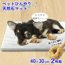 お手入れ簡単!ペット ひんやり 天然石マット 冷却タイル(40×30cm)2枚+たわし付き 御影石 送料無料 (ベッド シート プレート 冷やす 犬 いぬ 猫 ...