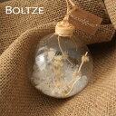 2016867クリスマスツリー オーナメント ドイツ BOLTZE(ボルツ) ガラスボール マリサ 1個入  8cm ドライフラワー 花材 ナチュラル 天然素材 花の実 クリスマス ピカキュウホーム ピカキュウhome