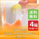 とくべつなにんじん・りんご・レモンジュース 【4箱】 【送料無料】【100cc×120p】【無農薬人参】【りんご】【レモン】【にんじんジュース】【ミックスジュース】【野菜ジュース】【冷凍ジュース】【ピカイチ野菜くん】 - ピカイチ野菜くん