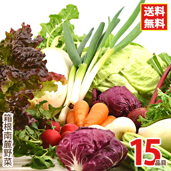 【クール便】 箱根南麓の伊豆の野菜セット 15品目 国産減農
