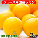国産レモン 3kg クール便 檸檬 化学肥料不使用 人参ジュース 特別栽培 愛媛県産 和歌山県産 長崎県産 にんじんジュース ジュース用