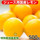 国産レモン 500g クール便 檸檬 化学肥料不使用 人参ジュース 特別栽培 愛媛県産 和歌山県産 長崎県産 にんじんジュース ジュース用