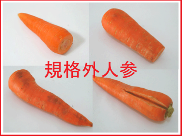 【おためしセット】無農薬洗い人参ジュースセット(無農薬にんじん3kg・レモン3個)【クール便送料無料】【smtb-t】【人参】【にんじんジュース】