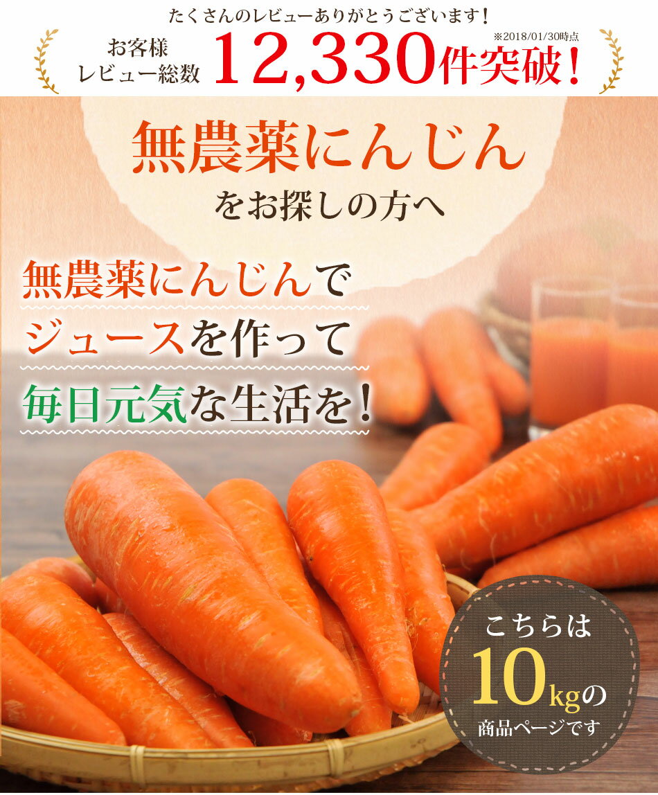 ＼200円クーポン配布中！15：00まであす楽対応！／【訳あり】国産 無農薬にんじん ジュース用 10kg【送料無料】