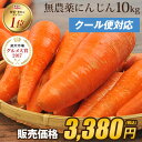 ＼15時まであす楽対応！／【訳あり】国産 無農薬にんじん ジュース用 10kg【送料無料】【クール便】【あす楽】