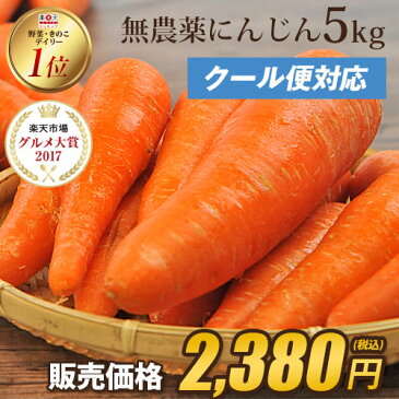 ＼15時まであす楽対応／【訳あり】国産 無農薬にんじん ジュース用 5kg 【送料無料】【あす楽】