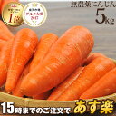 【訳あり】国産 無農薬にんじん ジュース用 5kg 送料無料...