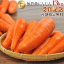 ※産地指定無料※【訳あり】国産 無農薬にんじん ジュース用 13kg 送料無料 常温便 無農薬 野菜 酵素 生酵素 ゲルソン療法 あす楽