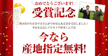 ＼受賞記念産地指定無料／【あす楽】国産 無農薬にんじん ゲルソン療法 ジュース用 10kg 送料無料 訳あり 常温便 無農薬 野菜 酵素 生酵素 あす楽