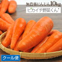 ＼サイズが選べる／無農薬にんじん 10kg 訳あり ゲルソン療法 断食 ジュース用 洗い人参 酵素 国産 10kg クール便 送料無料 訳あり 野菜 生酵素 ニンジンジュース 人参ジュース βカロテン ビタミンA ピカイチ野菜くん