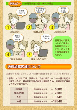 【月間購入】規格外洗い人参10kgを1ヶ月2回合計20kg1ヵ月分（無農薬栽培人参）（にんじん）