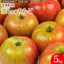 青森県産 葉とらずりんご 5kg箱 ピカイチ野菜くん リンゴ...