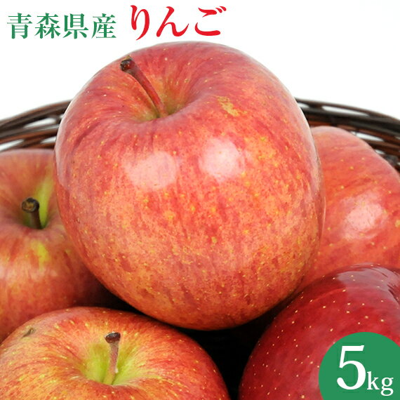 国産 青森県産 りんご 5kg 訳あり ふじ ジョナゴールド つがる リンゴ 5kg クール便 訳アリ 人参ジュース ジュース用 林檎 リンゴ アップル
