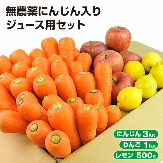 【ふるさと納税】【12回定期便】野菜等詰め合わせプレミアムセット(7～10品目) / 野菜 果物 フルーツ くだもの きのこ しそ / 諫早市 / 松尾農園 [AHAY027]