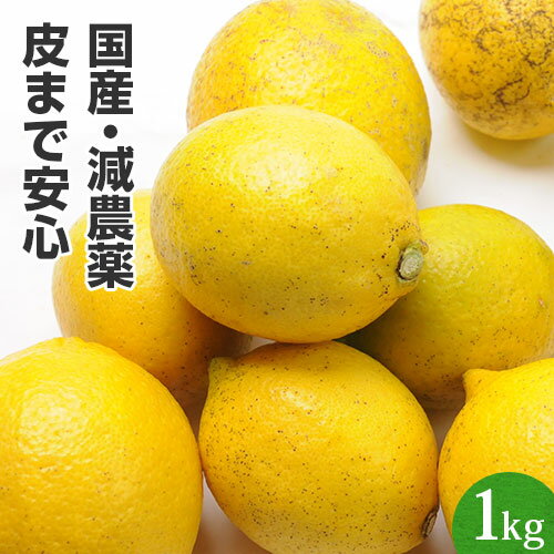 【訳あり】 国産 レモン 1kg 特別栽培 佐賀県産 1キロ 国内産 国産レモン 家庭用 訳あり ジュース用 れもん 檸檬 果汁たっぷり 減農薬 防腐剤不使用 防カビ剤不使用 にんじんジュース 人参ジュース ゲルソン療法 レモネードのサムネイル