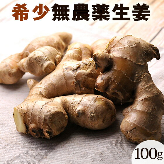 無農薬 生姜 ( 古根 ) 100g 長崎県産 