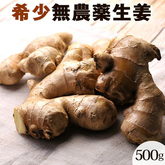 無農薬 生姜 500g ショウガ（古根生姜） しょうが デザイナーフーズ クール便 長崎県産 ショウガオール ジンゲロール 生姜焼き ジンジャーティー 甘酢漬け スープ 料理 あったまる ぽかぽか にんじんジュースのアレンジ