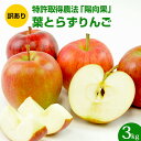 【訳あり】 青森県産 葉とらず りんご 3kg 3キロ 特別栽培農産物 減農薬 成田りんご園 陽向果 特許取得 家庭用 ジュース用 加工用 B品 訳アリ 人参ジュース にんじんジュース 人参りんごジュース リンゴ 林檎 コールドプレスジュース