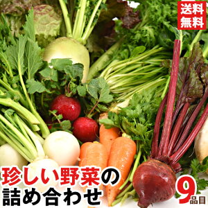 伊豆 野菜セット 9品目 機能性野菜 イタリア野菜 減農薬 有機栽培 旬の野菜 珍しい野菜 変わった野菜 食育 ビーガン ヴィーガン ブッダボウル ベジタリアン マクロビ スーパーフード お試しセット 箱根 南麓 詰め合わせ 新顔野菜 メディカル