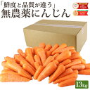 雑誌で紹介!【クール便価格】 訳あり 無農薬 人参 13kg 送料無料 にんじん ニンジン 無農薬にんじん 無農薬人参 有機人参 有機 有機JAS認証 国産 規格外 ジュース用 野菜 人参ジュース にんじんジュース ニンジンジュース ゲルソン療法 無添加 スロージューサー 鮮度保持袋
