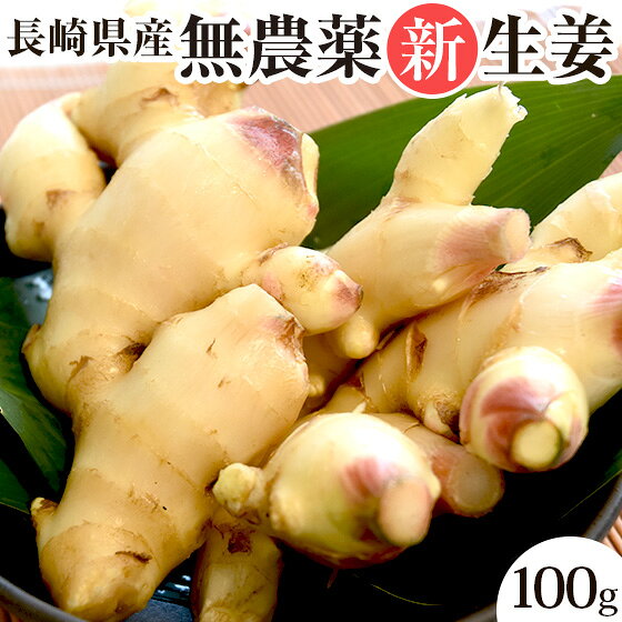 無農薬 生姜 ( 新生姜 ) 100g しょうが ショウガ 根ショウガ 根生姜 国産 国内産 長崎県産 無農薬栽培 野菜 生鮮 薬味 ジンジャー Ginger 冷え対策 冷え性 温活 ぽかぽか 美味しい 無添加食品 人気 お取り寄せ おすすめ 蒸し生姜 にんじんジュース