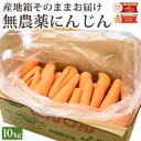 【未検品だからお求めやすい!】 訳あり 無農薬 人参 にんじん 10kg 10キロ 送料無料 クール便込 無農薬人参 無農薬にんじん 無化学肥料栽培 洗い ニンジン 有機人参 有機 国産 規格外品 B品 ジュース用 不揃い 人参ジュース にんじんジュース 野菜 生鮮食品 糖度測定