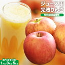 ランキング1位獲得! 訳あり 長野県産 りんご 1kg 3kg 5kg 10kg 特別栽培農産物 特栽 減農薬 国産 国内産 樹上完熟 林檎 甘い リンゴ ジュース用 スムージー 林檎ジュース 人参ジュース にんじんジュース 人参りんごジュース ダイエット アップルファームさみず 訳アリ