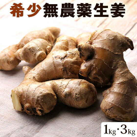 無農薬 生姜 ( 古根生姜 ) 1kg 3kg 長崎県産 し