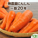 【訳あり】無農薬にんじん 13kg 送料無料 国産 有機JAS認証 ゲルソン療法 無農薬人参 にんじん 人参 人参ジュース にんじんジュース ニンジンジュース 野菜ジュース ジュース用 無添加 野菜 スロージューサー ジューサー ストレートジュース クレンズ がんばる