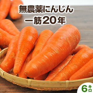 【訳あり】無農薬にんじん 6kg 【クール便 送料無料】 国産 有機JAS認証 ゲルソン療法 無農薬人参 にんじん 人参 人参ジュース にんじんジュース ニンジンジュース 野菜ジュース ジュース用 無添加 野菜 スロージューサー ジューサー ストレートジュース クレンズ がんばる