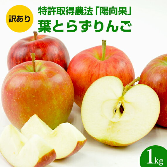 【訳あり】 青森県産 葉とらず りんご 1kg 1キロ 特別栽培農産物 減農薬 成田りんご園 陽向果 特許取得 家庭用 ジュース用 加工用 B品 訳アリ 人参ジュース にんじんジュース 人参りんごジュース リンゴ 林檎 コールドプレスジュース