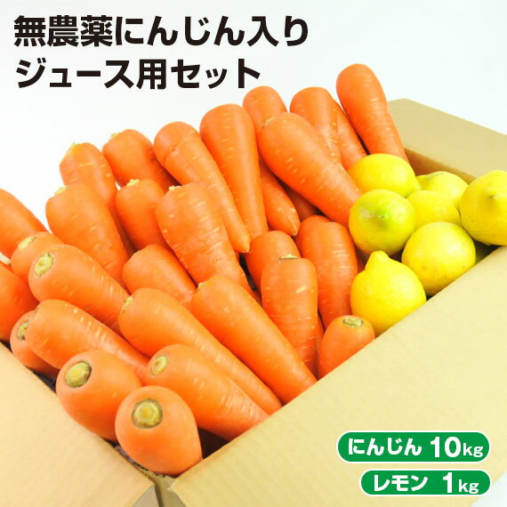 楽天ピカイチ野菜くん【クール便】 訳あり 無農薬にんじん 入り にんじんレモン ジュース用 セット （ にんじん 10kg ＋ レモン 1kg ） 無農薬人参 無農薬人参レモン 人参 ニンジン にんじんジュース 人参ジュース コールドプレスジュース 野菜セット 野菜 詰め合わせ ゲルソン療法 ジュース用