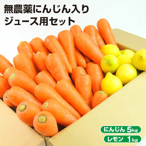 【訳あり】 無農薬にんじん 入り にんじんレモン ジュース用 セット ( にんじん 5kg ＋ レモン 1kg ) 無農薬人参 無農薬人参レモン 人参 ニンジン にんじんジュース 人参ジュース コールドプレスジュース 野菜セット 野菜 詰め合わせ ゲルソン療法 ジュース用