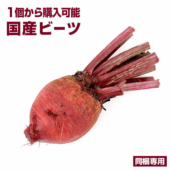 お試し ビーツ 1個 5個 10個 30個 国産 国内産 ビート beet 機能性野菜 ビーガン ヴィーガン vegan にんじんジュース 人参ジュース ベジタリアン スーパーフード スーパーベジタブル 食育 ダイエット サラダ スープ ボルシチ 野菜ジュース コールドプレスジュース 用